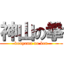 神山の拳 (kouyama no ken)