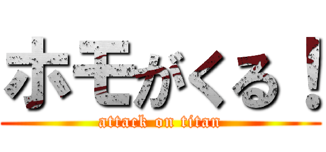 ホモがくる！ (attack on titan)