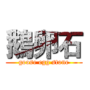 鵝卵石 (goose egg stone)