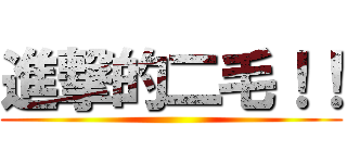 進撃的二毛！！ ()