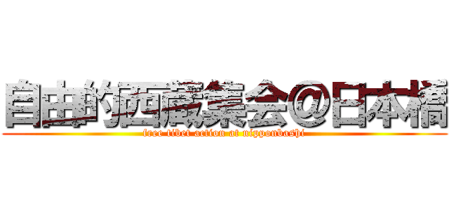 自由的西蔵集会＠日本橋 (free tibet action at nipponbashi)