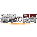 進撃の昆哥 (attack on titan)