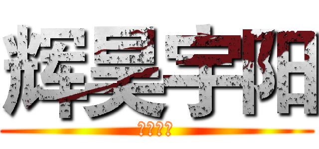 辉昊宇阳 (电影公司)