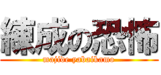 練成の恐怖 (majide yabaikamo)