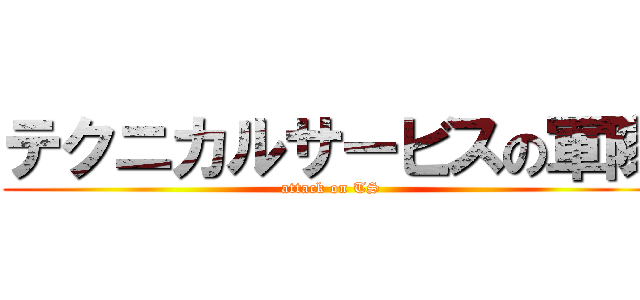 テクニカルサービスの軍隊 (attack on TS)