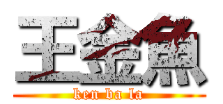 王金魚 (ken ba la)