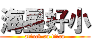 海星好小 (attack on titan)
