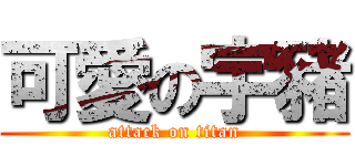 可愛の宇豬 (attack on titan)