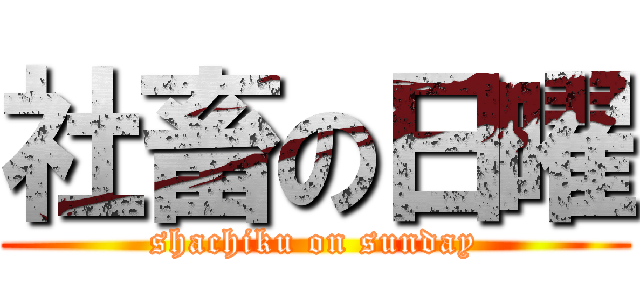 社畜の日曜 (shachiku on sunday)