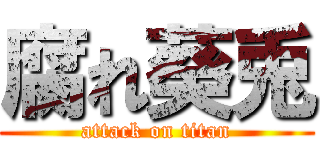 腐れ葵兎 (attack on titan)