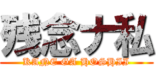 残念ナ私 (KANE GA HOSHII)