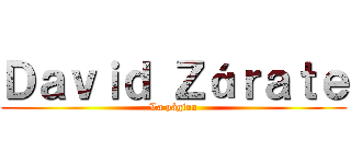 Ｄａｖｉｄ Ｚáｒａｔｅ (La página)