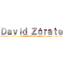 Ｄａｖｉｄ Ｚáｒａｔｅ (La página)