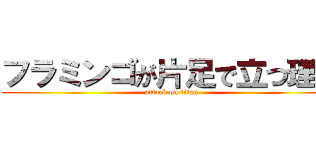 フラミンゴが片足で立つ理由 (attack on titan)