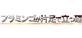 フラミンゴが片足で立つ理由 (attack on titan)