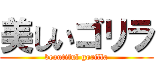 美しいゴリラ (beautiful gorilla)