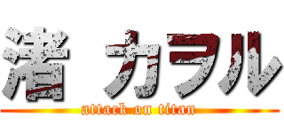 渚 カヲル (attack on titan)