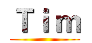 Ｔｉ ｍ ()