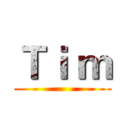 Ｔｉ ｍ ()