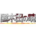 国木田の暁 (kunikida aki)
