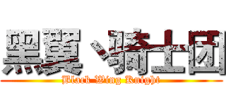 黑翼丶骑士团 (Black Wing Knight)