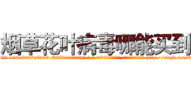 烟草花叶病毒哪能买到 (烟草花叶病毒哪能买到【电-186x2687x6963-Q278180069元-吉-药-业】我们做的是长期生意,靠的是老客户长期支持 http://sngk.net/TaBiVc
)