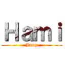 Ｈａｍｉ (Jang)