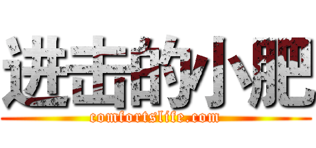 进击的小肥 (comfortslife.com)