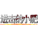 进击的小肥 (comfortslife.com)