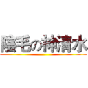 陰毛の神清水 ()