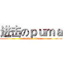 进击のｐｕｍａ (attack on titan)