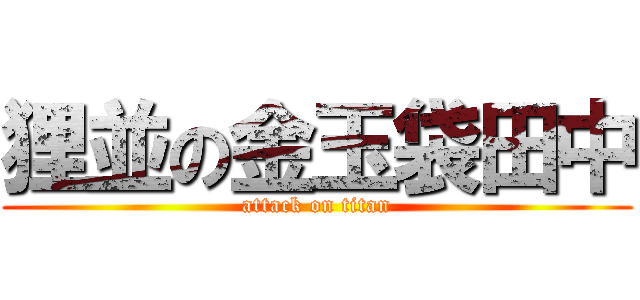 狸並の金玉袋田中 (attack on titan)