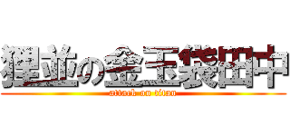 狸並の金玉袋田中 (attack on titan)