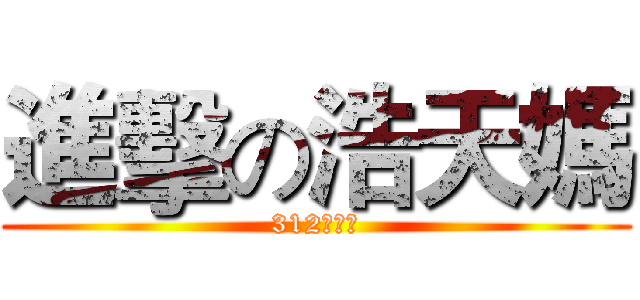 進擊の浩天媽 (312大危機)
