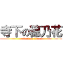 寺下の穂乃花 (attack on titan)