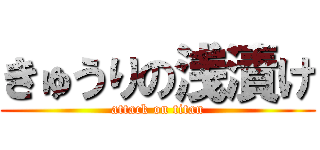 きゅうりの浅漬け (attack on titan)
