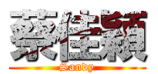 蔡佳穎 (Sandy)
