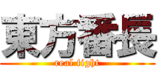 東方番長 (real fight)