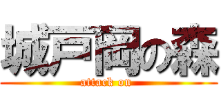 城戸岡の森 (attack on )