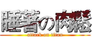 睡著の肉鬆 (attack on titan)