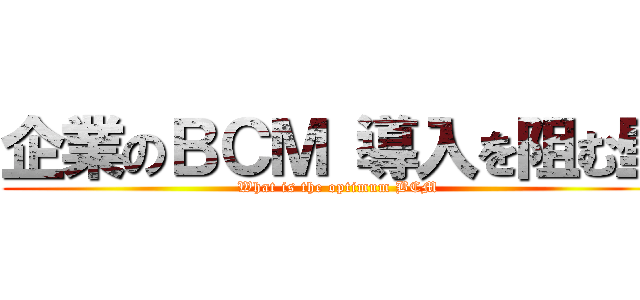 企業のＢＣＭ 導入を阻む壁 (What is the optimum BCM)
