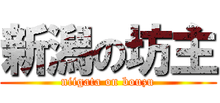 新潟の坊主 (niigata on bouzu)
