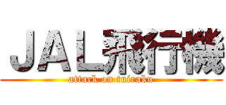 ＪＡＬ飛行機 (attack on tuiraku)