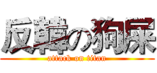 反韓の狗屎 (attack on titan)