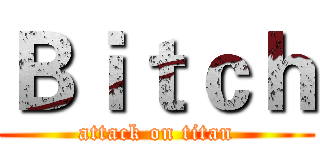 Ｂｉｔｃｈ (attack on titan)