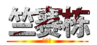 竺赛栋 (竺赛栋)