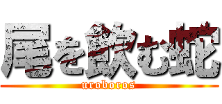 尾を飲む蛇 (uroboros)
