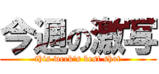 今週の激写 (this week's best shot)
