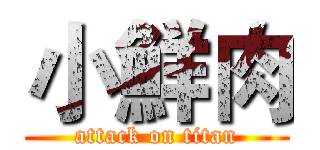 小鮮肉 (attack on titan)