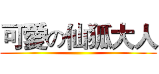 可愛の仙狐大人 ()